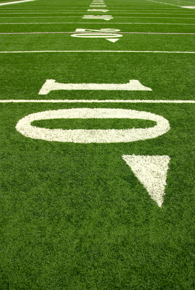 Artificial Turf Debate Picks Up Green Steam PleaseConserve